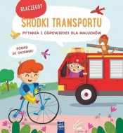 Dlaczego? Pytania i odpowiedzi.. Środki transportu - Opracowanie zbiorowe