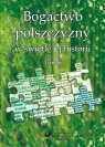 Bogactwo polszczyzny w świetle jej historii T. 6 Joanna Przyklenk, Wioletta Wilczek