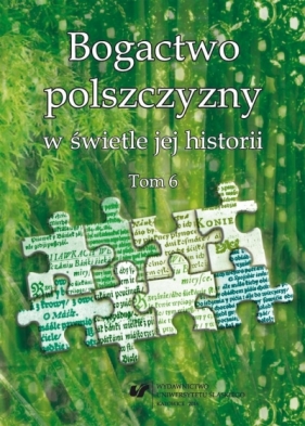 Bogactwo polszczyzny w świetle jej historii T. 6 - Joanna Przyklenk, Wioletta Wilczek