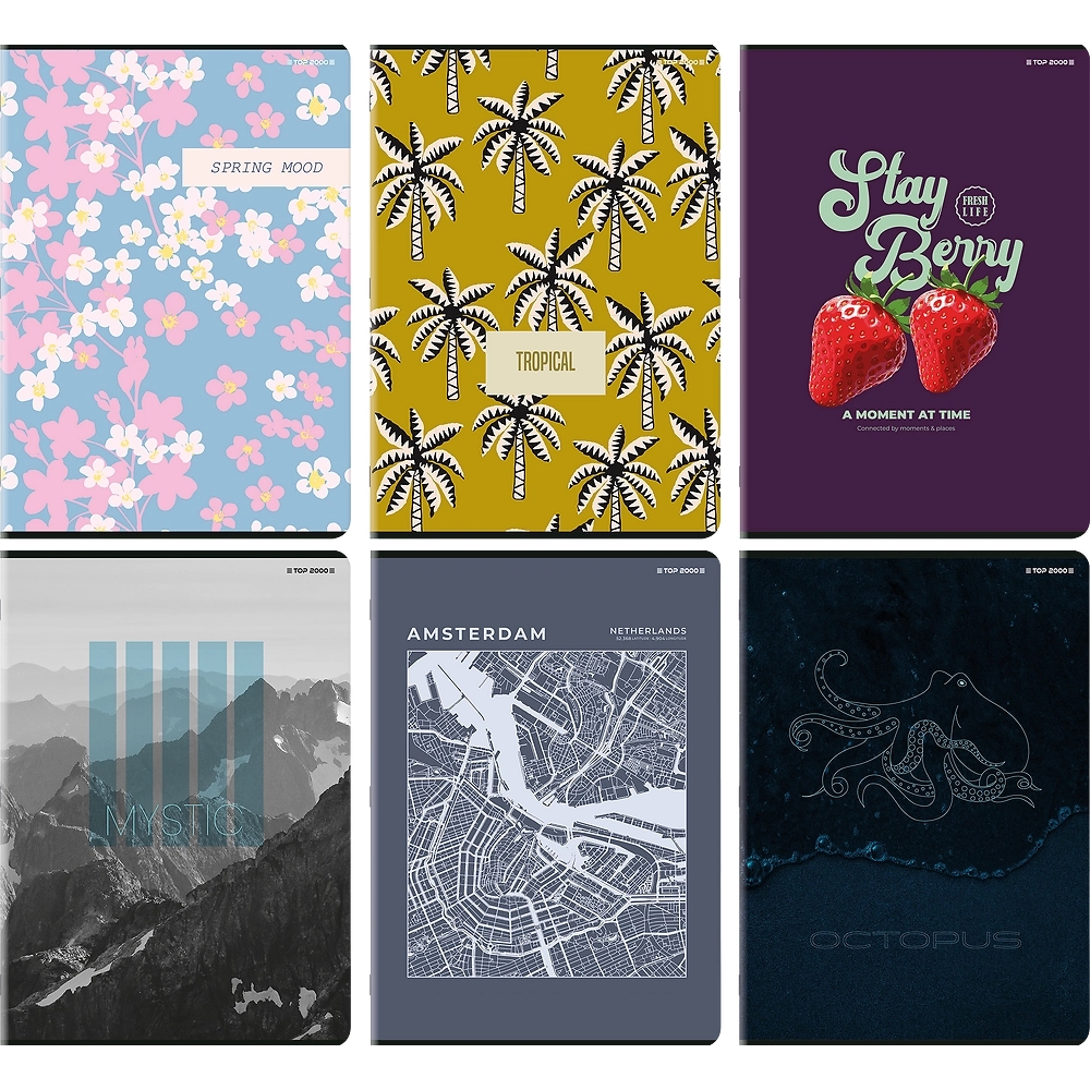 Zeszyt Top 2000 Basic A4/96k kratka z marginesem, 1 szt