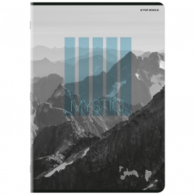 Zeszyt Top 2000 Basic A4/96k kratka z marginesem, 1 szt