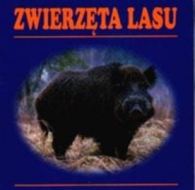 Zwierzęta lasu - Opracowanie zbiorowe