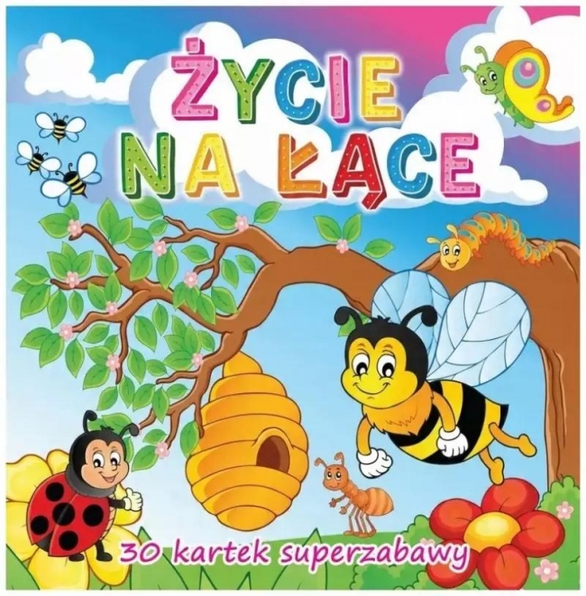 Życie na łące