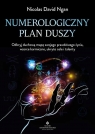 Numerologiczny plan duszy Nicolas David Ngan