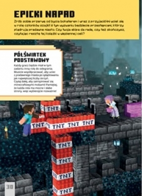 Minecraft. Wyzwanie przetrwanie. Zostań bohaterem
