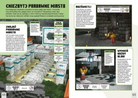 Minecraft. Wyzwanie przetrwanie. Zostań bohaterem - Tom Stone