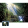 HEYE 1000 EL. Magic Forests, Waterfall (29498)