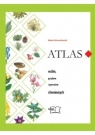 Atlas roślin, grzybów i porostów chronionych Dzwonkowski Robert