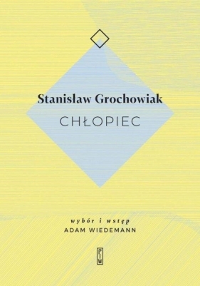 Chłopiec - Stanisław Grochowiak