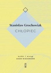 Chłopiec - Stanisław Grochowiak