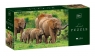 Puzzle 250: Wild Animals 2 - Elephants