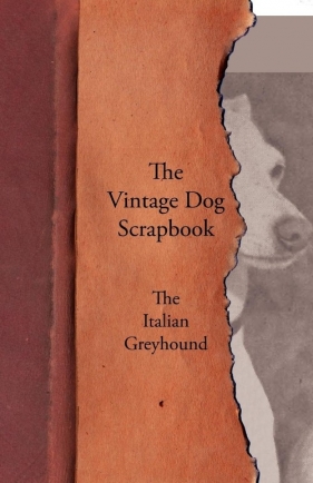 The Vintage Dog Scrapbook - The Italian Greyhound - Various
