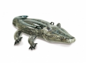 +57524+ Aligator