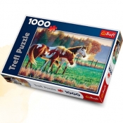 Mroźny poranek na pastwisku - 1000 elementów (10298)