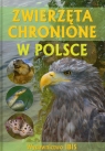 Zwierzęta chronione w Polsce