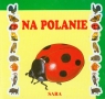 Parawaniki Na polanie