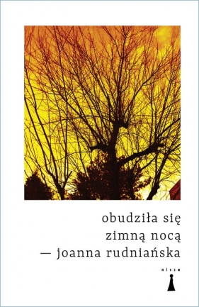 Obudziłą się zimną nocą - Joanna Rudniańska