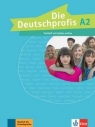 Die Deutschprofis A2 Testheft + audio online Opracowanie zbiorowe