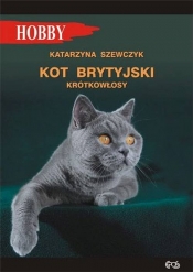 Kot brytyjski krótkowłosy - Szewczyk Katarzyna