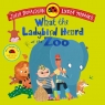 What the Ladybird Heard at the Zoo Julia Donaldson, Lydia Monks