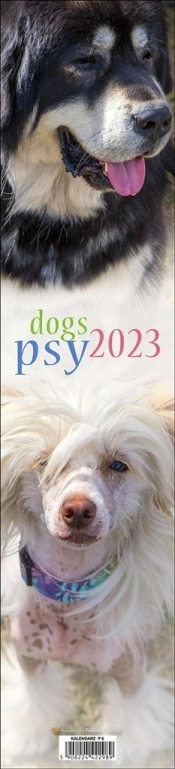 Kalendarz 2023 Paskowy - Psy - Praca zbiorowa