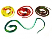 Wąż gumowy 60cm (10szt)