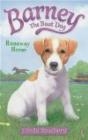 Barney the Boat Dog: Runaway Horse!: No. 2