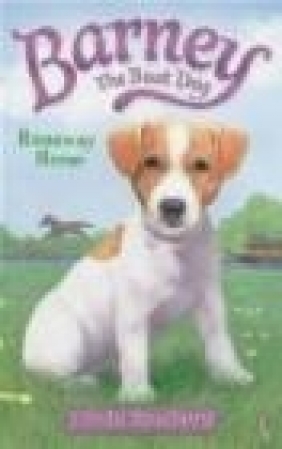 Barney the Boat Dog: Runaway Horse!: No. 2 Linda Newbery