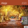 Kalendarz wieloplanszowy Aleje 30x30 2020 (LP68-20)