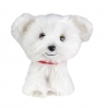 Lumo Maltese dog Rosie classic