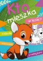 Kto mieszka w lesie? - Wiesław Drabik, Wiesław Drabik, Ewa Stadtmüller, Ewa Stadtmüller