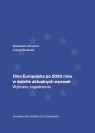 Unia Europejska po 2020 roku.. Aleksandra Borowicz, Joanna Stefaniak