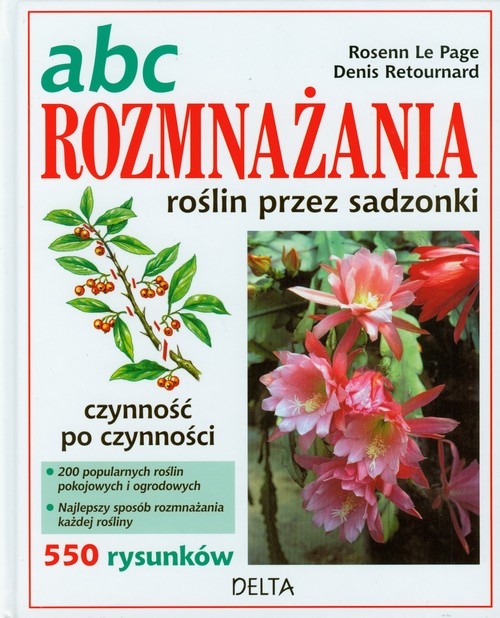 ABC rozmnażania roślin przez sadzonki