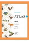 Atlas zwierząt chronionych - ryby, gady, płazy 6004300 Dzwonkowski Robert