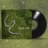 Transition II (Black Vinyl)