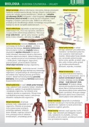 Ściągawka biologia - człowiek