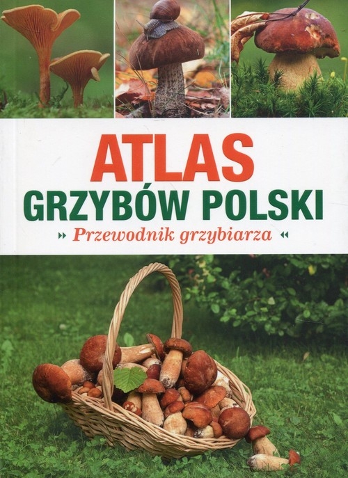 Atlas grzybów Polski