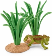 Kameleon w trzcinach - 42324