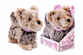 Piesek chodzący na smyczy brązowy