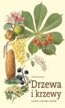 Drzewa i krzewy