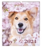 Kalendarz ścienny 2024 30.5 x 40 cm - Psy