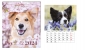Kalendarz ścienny 2024 30.5 x 40 cm - Psy