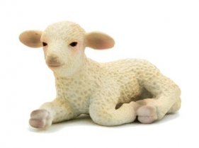 ANIMAL P. Owca leżąca (F7099)