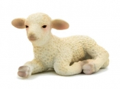 ANIMAL P. Owca leżąca (F7099)