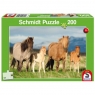 Puzzle 200: Konie - rodzinne zdjęcie