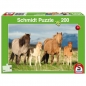Puzzle 200: Konie - rodzinne zdjęcie