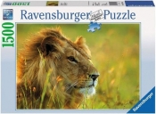 Puzzle Lew 1500 (162994)