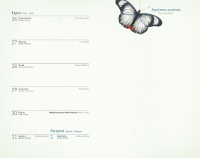 Kalendarz 2021 - Motyle - Łuksza Agata