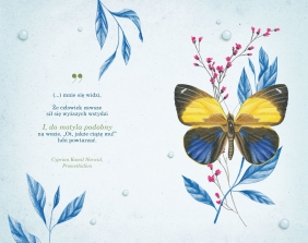 Kalendarz 2021 - Motyle - Łuksza Agata