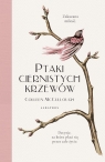 Ptaki ciernistych krzewów (wydanie specjalne) Colleen McCullough